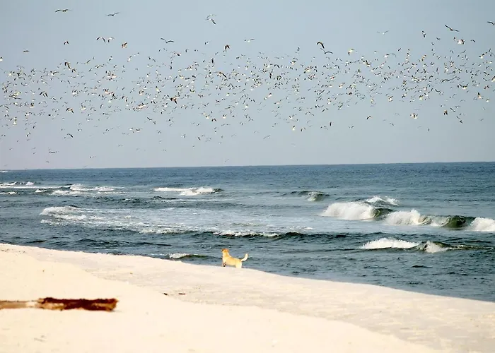 Beach'n'sea 2